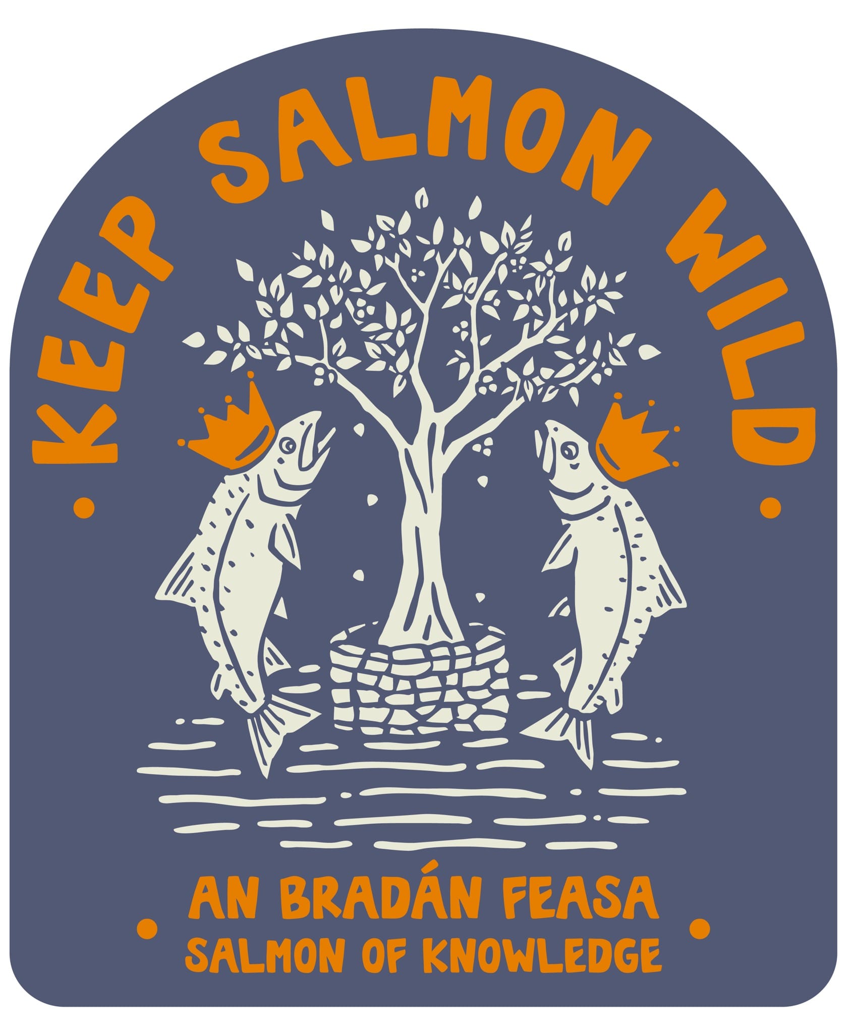 Wild Irish Salmon Trust 