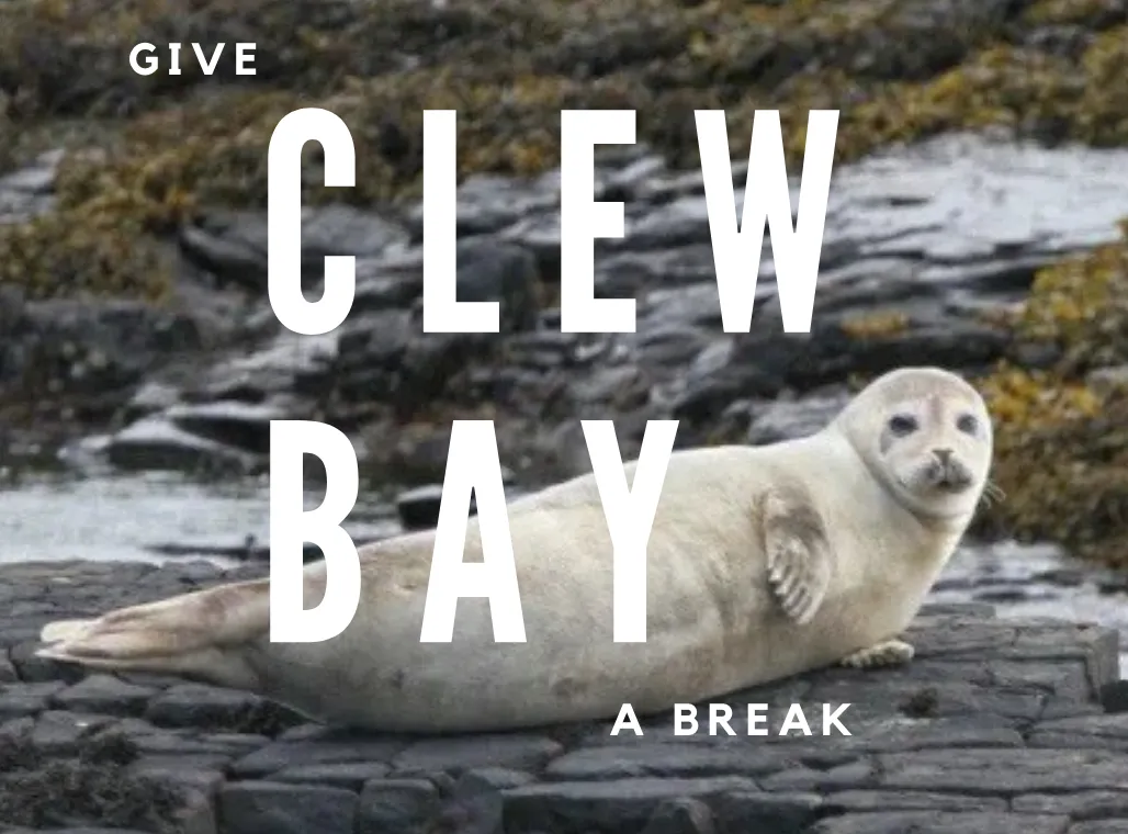 Public Submissions Due for Four Clew Bay Open-Net Pen Farms